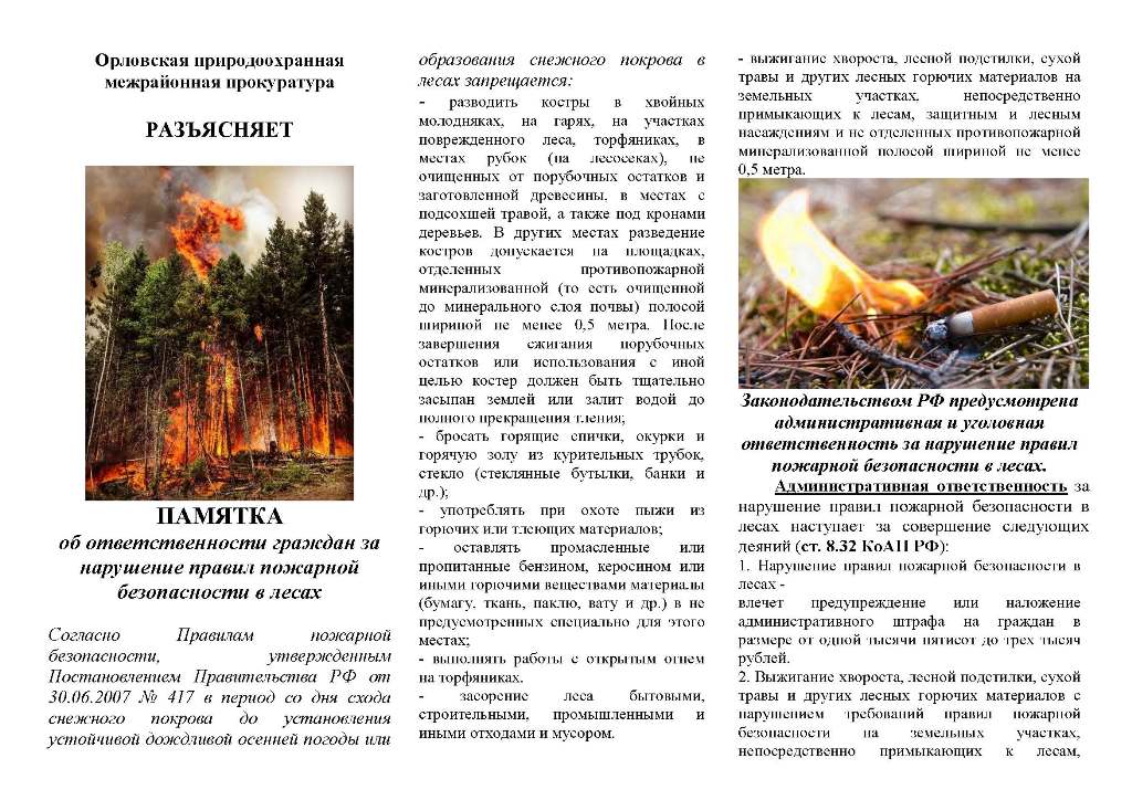 Правил пожарной безопасности в лесах 2020